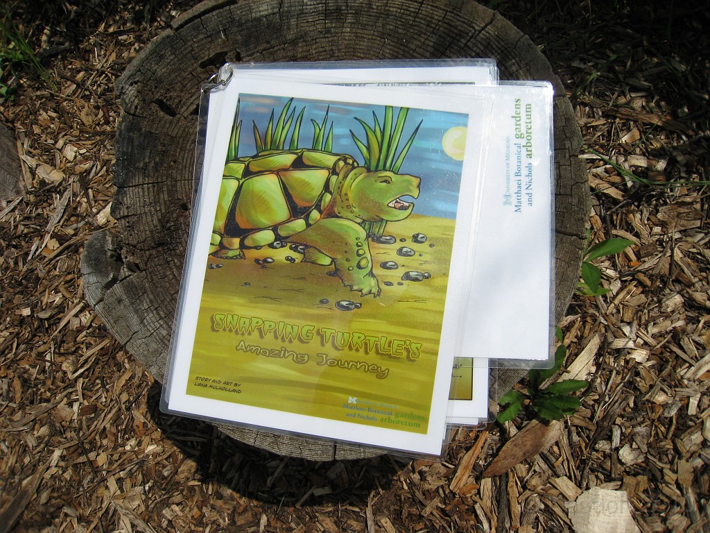 Matthaei Botanical Gardens 2010 0117.jpg - In a clearing are sitting stumps and a book that can be read... or read to children.